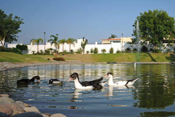 jardines y fuentes - fraccionamiento casa fuerte residencial tlajomulco