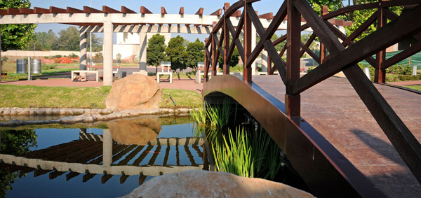 camellones - la rioja guadalajara