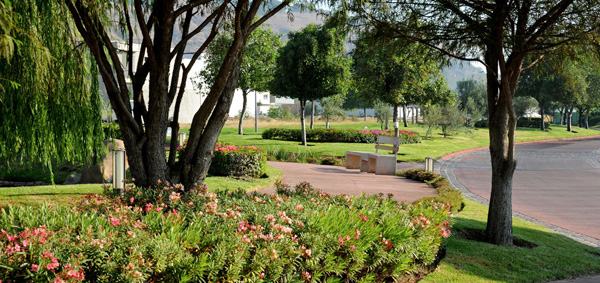 diseño en jardines - fraccionamiento la rioja