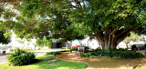 amplias avenias - la rioja residencial guadalajara