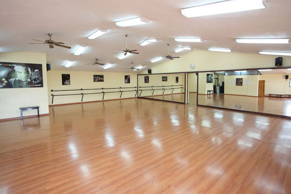 ballet- fraccionamiento valle real zapopan