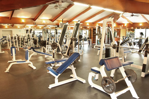 gimnasio - fraccionamiento valle real zapopan
