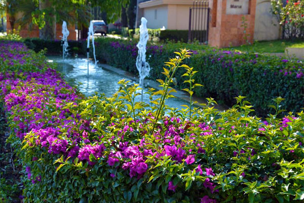landscape de jardines - fraccionamiento valle real zapopan